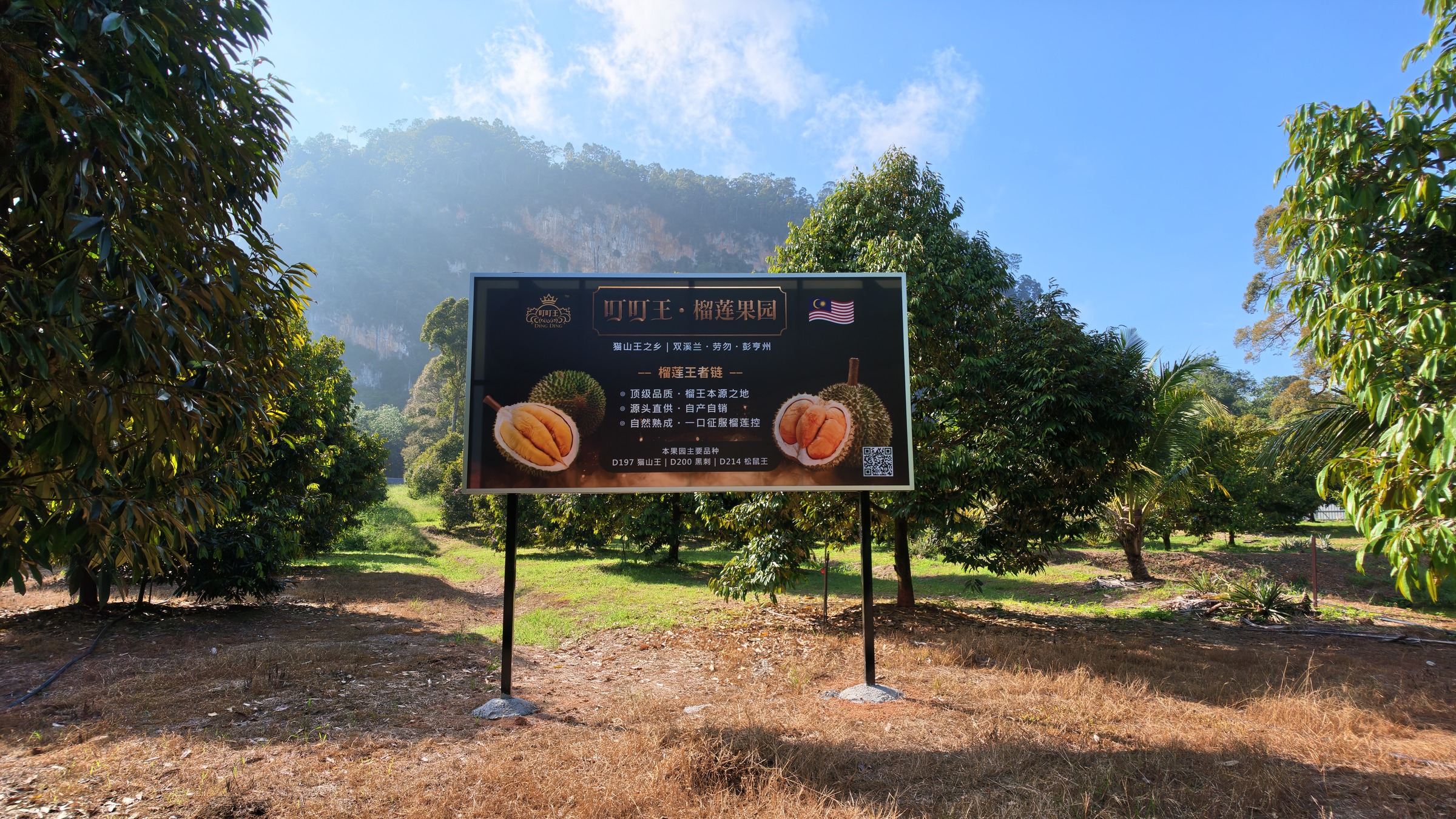 Bio-resources and agribusiness